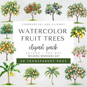 Paquete de imágenes prediseñadas de árboles frutales en acuarela para uso comercial, naranja, limonero, manzano, frutas de verano, ilustraciones botánicas