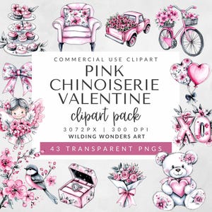 Roze chinoiserie Valentine-clipartpakket voor commercieel gebruik, vintage toile-ontwerp, aquarel bloemenelementen, digitale download, png