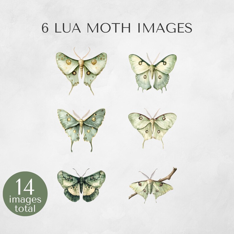 Six unique watercolor Luna moth illustrations displayed on a light background, showing variation in wing shape, texture, and color.
