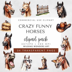 Verrückte lustige Pferde Clipart Pack für kommerzielle Nutzung, humorvolles Pferd, Bauernhof Tiere Clipart, lustige Tiere PNG, Cartoon Pferd