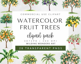 Pacote de clipart de árvores frutíferas em aquarela para uso comercial, laranja, limoeiro, macieira PNGs, frutas de verão, ilustrações botânicas
