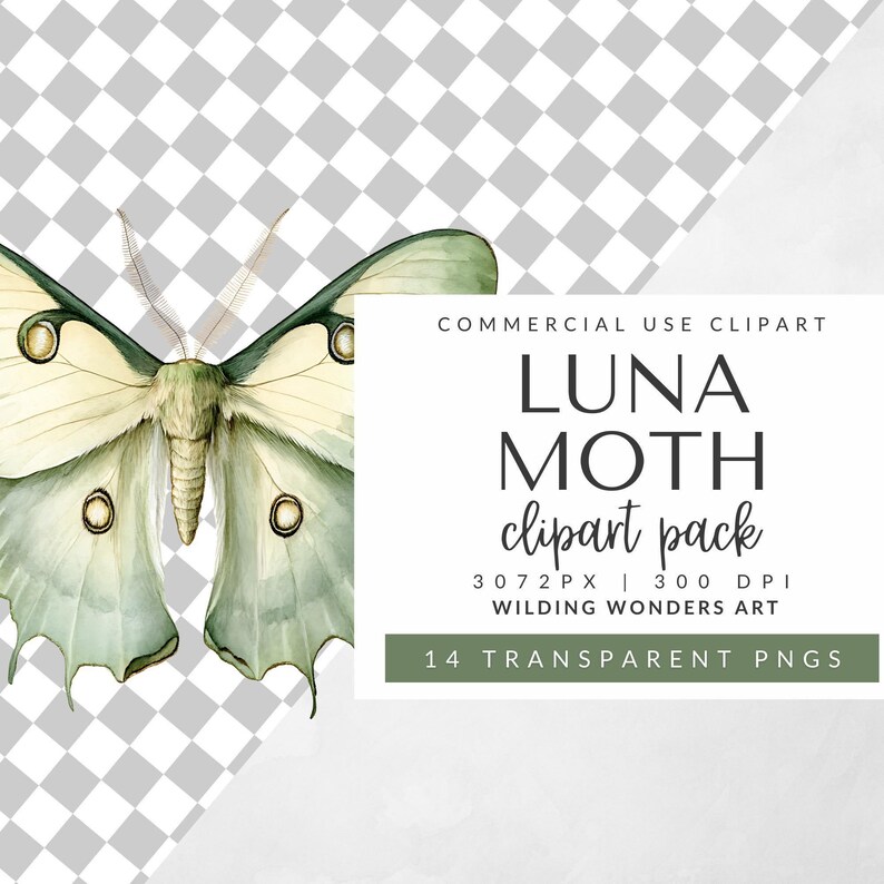 Luna Moth Clipart Pack branding image featuring a watercolor Luna moth and text about commercial use, file size, resolution, and quantity.