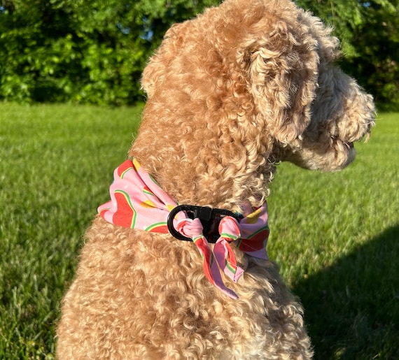 Clip on dog bandana discount