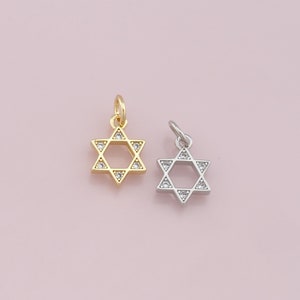 May include: Two Star of David charms, one gold and one silver, with clear crystal accents.