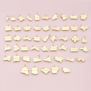 May include: Gold-colored state-shaped charms, each with the state name engraved. The charms are arranged on a pink surface. The charms are for states like California, Texas, and Florida.