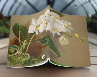 Orchid Softcover Journal: Vintage Floral Notebook
