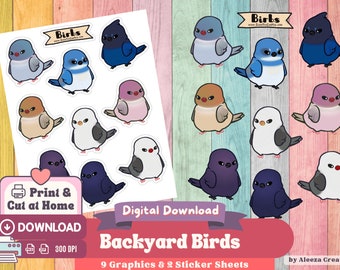 Backyard Birbs Bird Graphics & Printable PNG Sticker Sheet Set, Digital Stickers, Planner Stickers, Cricut Designs, Clip Art