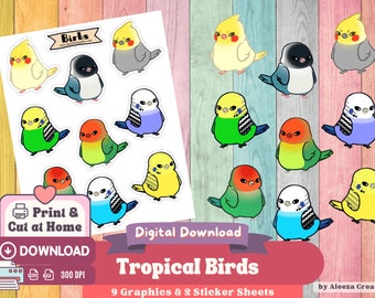 Gráficos de pájaros de aves tropicales y juego de hojas de pegatinas PNG imprimibles, pegatinas digitales, pegatinas de planificador, diseños de Cricut, imágenes prediseñadas