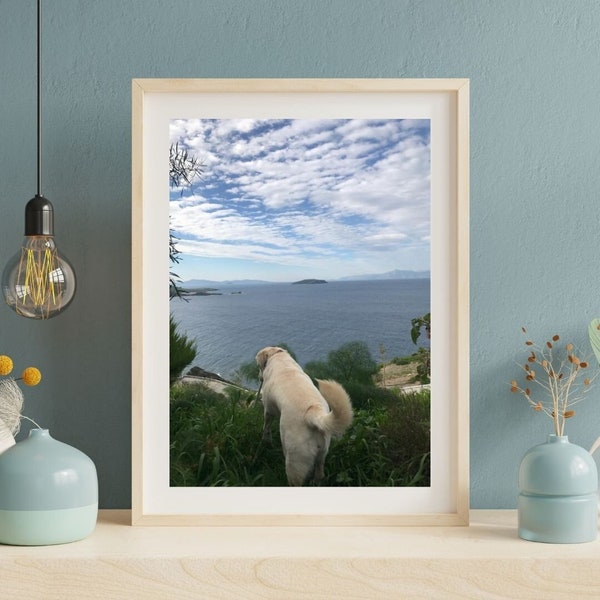 Doggie the Explorer - Digital Wall Art, Printable Photography