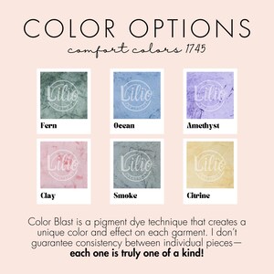 May include: Image displaying six colour options: Fern, Ocean, Amethyst, Clay, Smoke, and Citrine. Each colour is shown in a square with the brand's logo. The text "Color Options" and "comfort colours 1745" are at the top, with a description of the colour blast technique.
