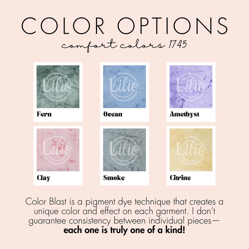 May include: Image displaying six colour options: Fern, Ocean, Amethyst, Clay, Smoke, and Citrine. Each colour is shown in a square with the brand's logo. The text "Color Options" and "comfort colours 1745" are at the top, with a description of the colour blast technique.