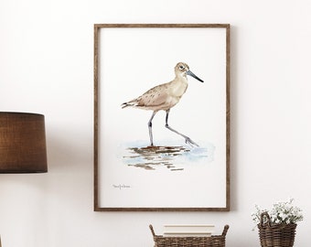 Shore Bird Watercolor Art Print, Coastal Watercolor Shore Bird Watercolor, Watercolor Willet Print For Coastal Decor, Sandpiper Watercolor