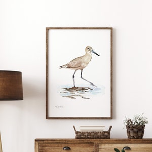 Shore Bird Watercolor Art Print, Coastal Watercolor Shore Bird Watercolor, Watercolor Willet Print For Coastal Decor, Sandpiper Watercolor