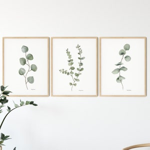 DIGITAL DOWNLOAD  Printable Eucalyptus Watercolor Wall Art Print Set, Eucalyptus Home Decor, Green Botanical Leaves, Three Print Wall Art