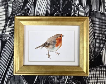 Framed Watercolor Robin Print: Small Bird Art, Antique Gold Or Bronze Colored Frame