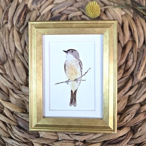 Framed Eastern Phoebe Watercolor Bird Print From Original Painting