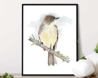 Phoebe Print from My Original Watercolor Painting, Yellow Bird Print Art Wall Decor, Eastern Phoebe Bird Home Decor Art Print