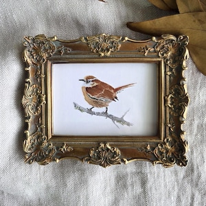 Mini Framed Watercolor Wren Bird Print, Wren Print From My Original Watercolor Painting, Brown Wren Small Bird Art Print, Carolina Wren Art
