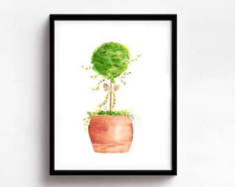 Topiary Standard Watercolor Print, Garden Topiary Watercolor, Boxwood Standard Art Print, Garden Watercolor Art, Plant Topiary