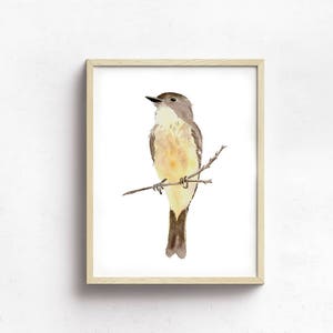 Phoebe Print from My Original Watercolor Painting, Yellow Bird Print Art Wall Decor, Eastern Phoebe Bird Home Decor Art Print