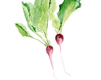 Spring Radishes Print from Original Watercolor Painting, Food Watercolor Art Print, Garden Radishes Art Print, Sping Radishes Print