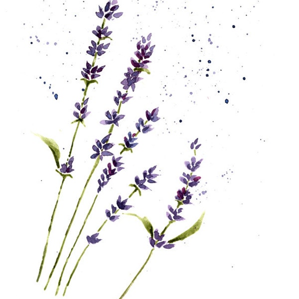 Impression d'art giclée aquarelle lavande, décoration botanique pour la maison