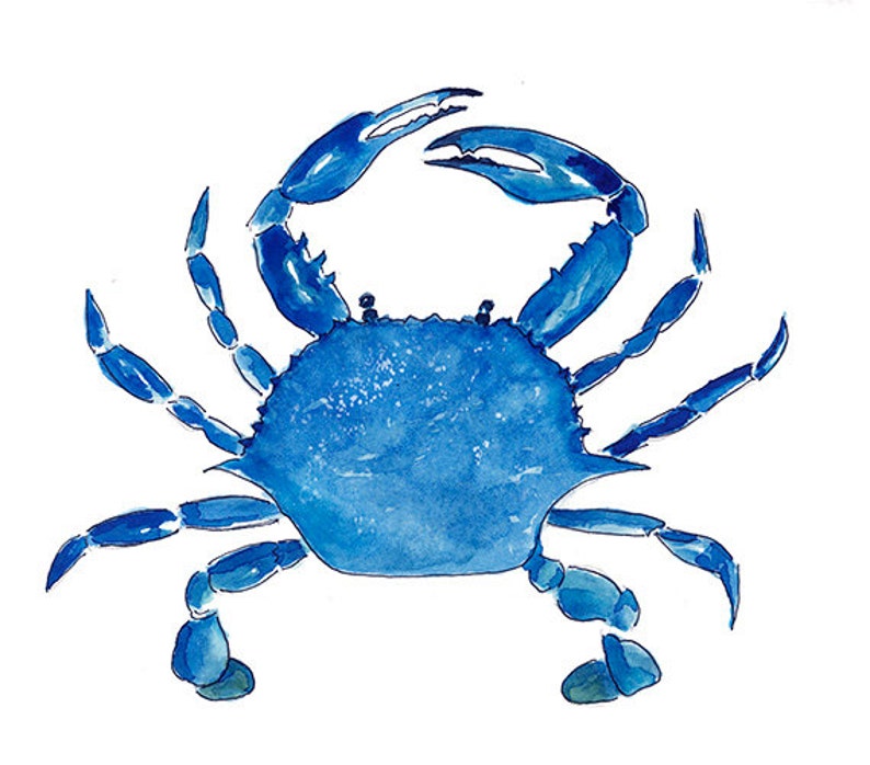 Blue Crab Print From Original Watercolor, Chesapeake Bay Blue Crab Wall Art Print, Maryland Blue Crab Home Decor Wall Art Print, Coastal Art image 2