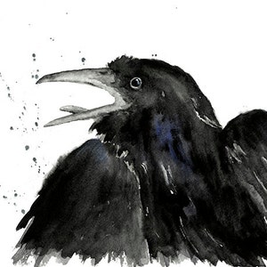 Raven Print From Original Watercolor, Raven Wall Art, Black Bird Watercolor, Black and White Crow , Dark Wall Art Home Decor, Raven Print