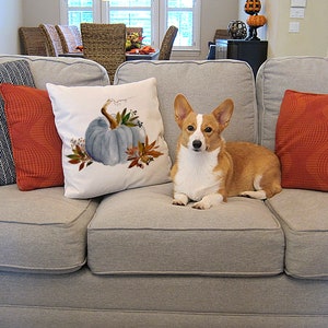 May include: A gray couch with three pillows, one with a blue pumpkin design, one with a red geometric pattern, and one with a blue and white herringbone pattern. A corgi dog is sitting on the couch.
