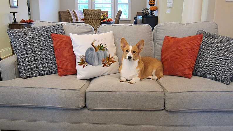 May include: A gray couch with three pillows, one with a blue pumpkin design, one with a red geometric pattern, and one with a blue and white herringbone pattern. A corgi dog is sitting on the couch.