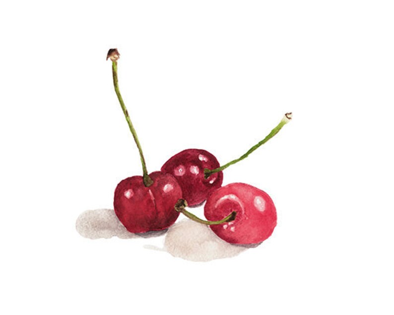 Cherries Giclee Print From Original Watercolor, Kitchen Food Wall Art Print, Fruit Print For Home Decor Wall Art, Red Cherries Watercolor image 3