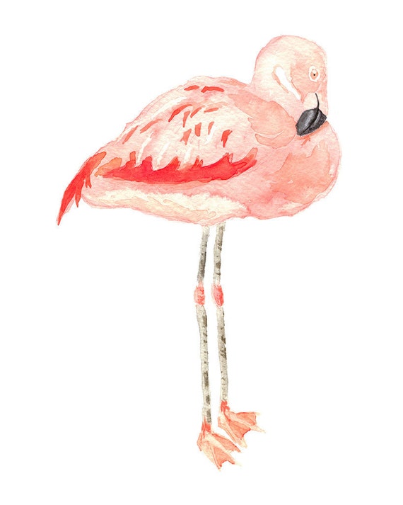 Pink Flamingo Home Decor Watercolor Print Flamingo Wall Art Print Coastal Decor Wall Art Print, Flamingo Print from Original Watercolor
