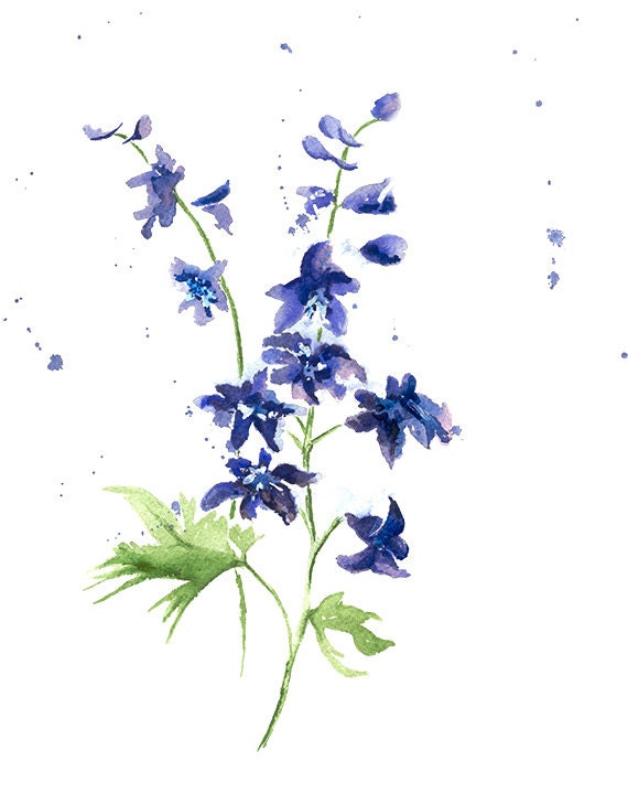 Delphinium Print From Original Watercolor, Spring Botanical Print Wall Art  Home Decor, Blue Flower Wall Decor Art Print, Flower Art Print - Etsy