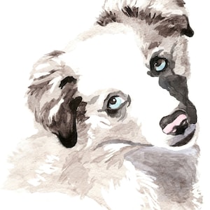 Blue Merle Border Collie Pup Fine Art Print, Border Collie Watercolor Wall Art, Blue Merle Border Collie Dog Portrait, Pet Watercolor Print