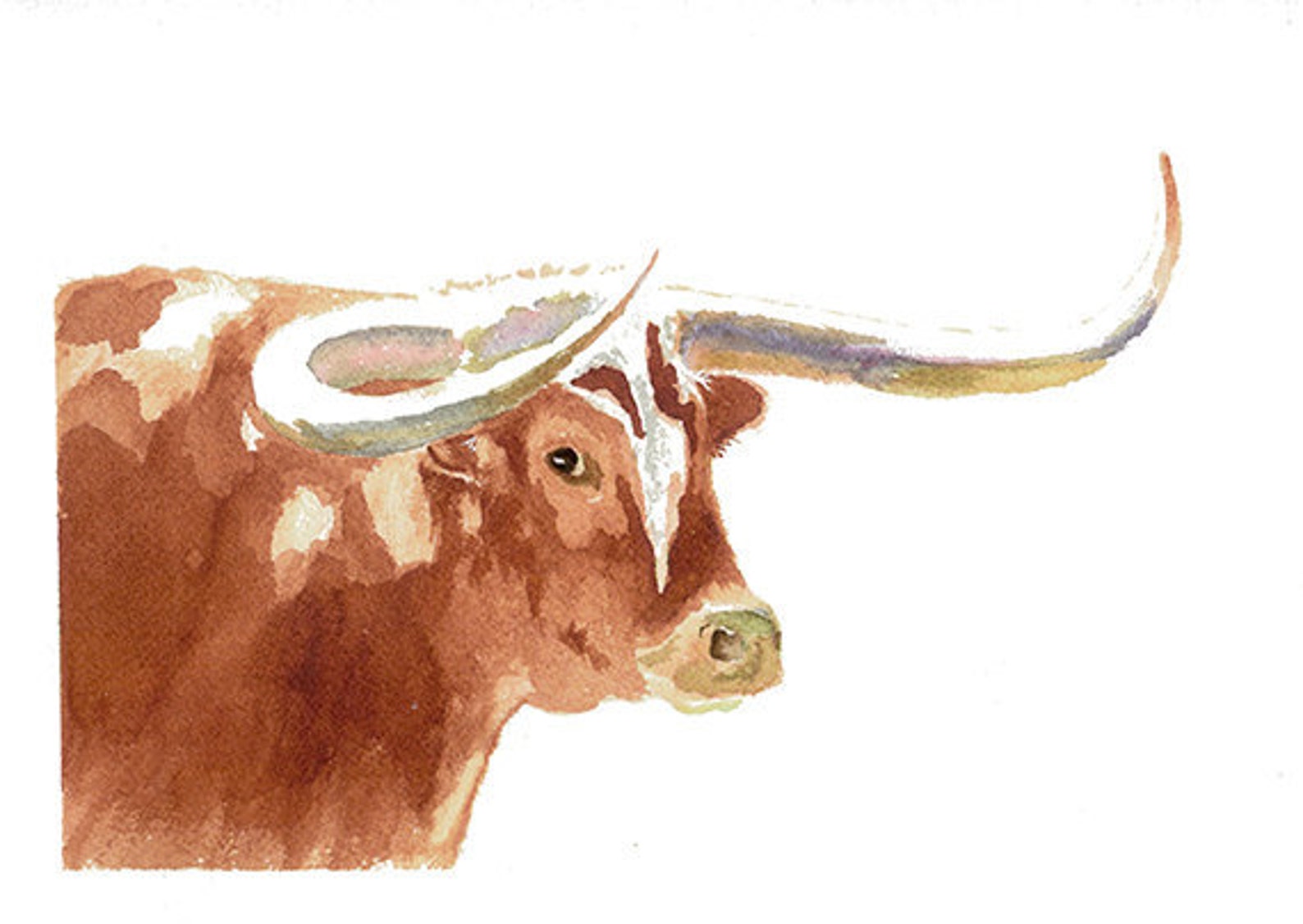 Longhorn Art Print From Original Watercolor Western Style Art Etsy