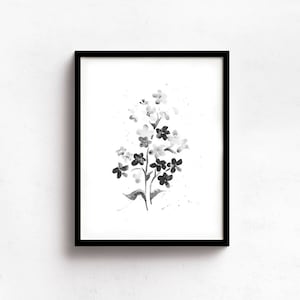 Black and White Forget Me Nots From Original Watercolor, Black And White Wall Collage Floral Art Prints, Flower Watercolor Print