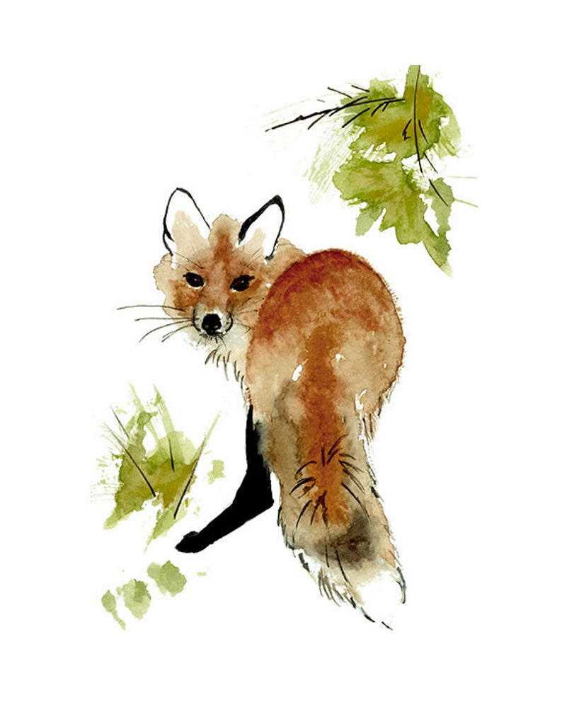 Red Fox Print from Original Watercolor Painting, Red Fox Illustration, Red Fox Painting Wall Art, Rustic Decor Wall Art, Woodland Art Print image 2
