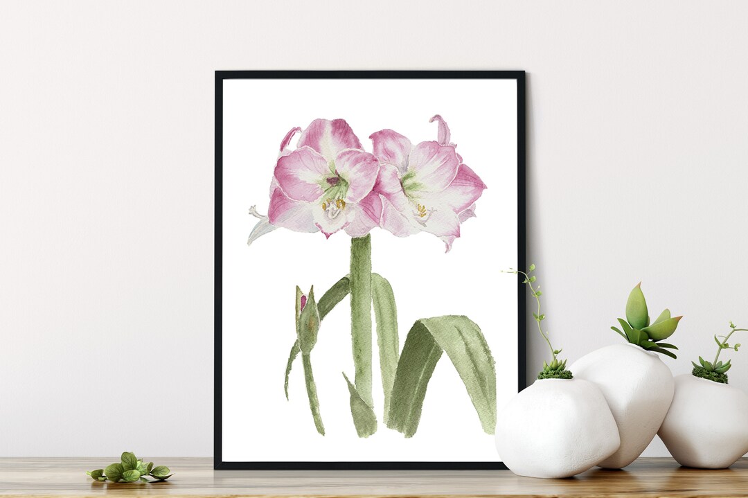 Amaryllis Apple Blossom Print: Original Watercolor Floral Art - Etsy