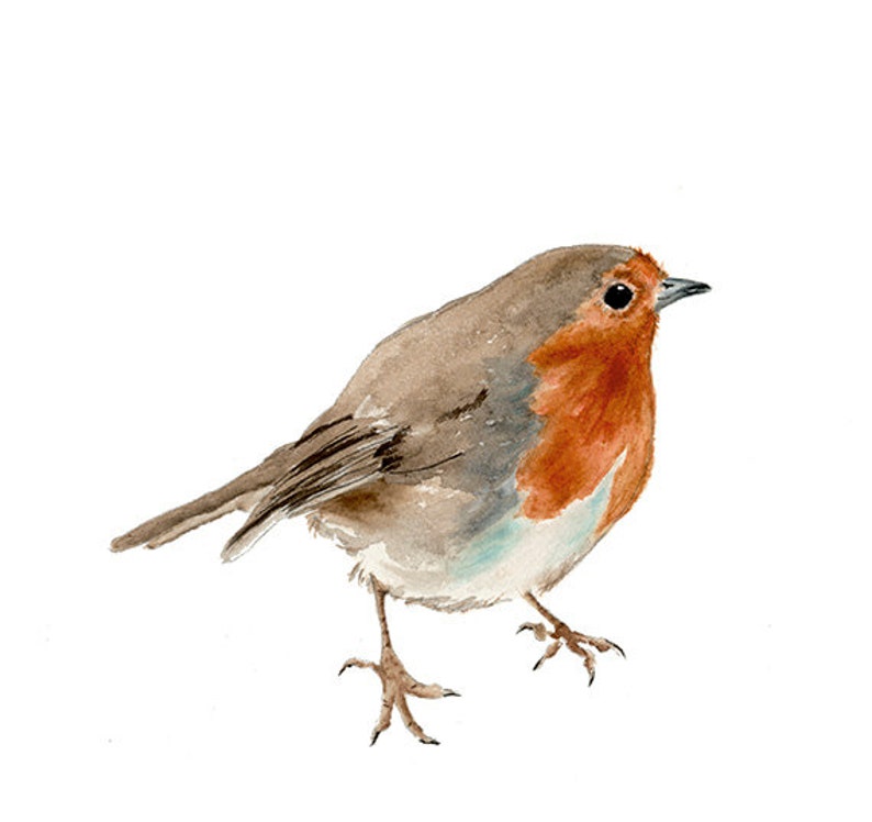 English Robin Giclee Print from Original Watercolor, Watercolor Bird Art Print, Robin Wall Art Decor, English Robin Nursery Art image 2