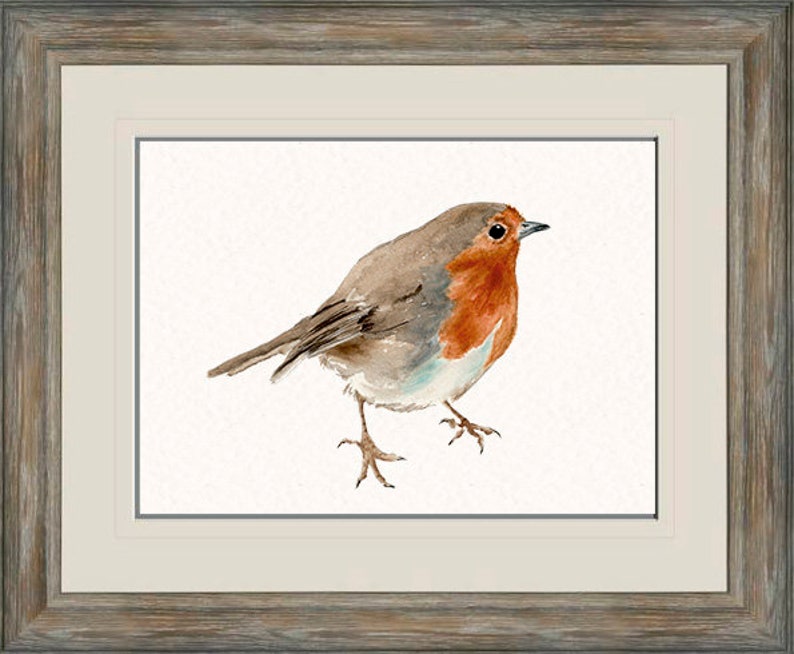 English Robin Giclee Print from Original Watercolor, Watercolor Bird Art Print, Robin Wall Art Decor, English Robin Nursery Art image 4