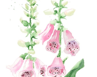 Impresión artística en acuarela de dedaleras: pintura giclée botánica