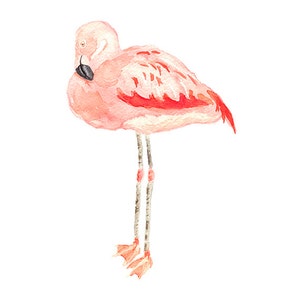 Flamingo Print from Original Watercolor, Flamingo Wall Art Print, Pink Flamingo Home Decor Watercolor Print, Coastal Decor Wall Art Print
