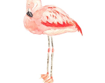 Flamingo Watercolor Print: Pink Coastal Home Decor Wall Art