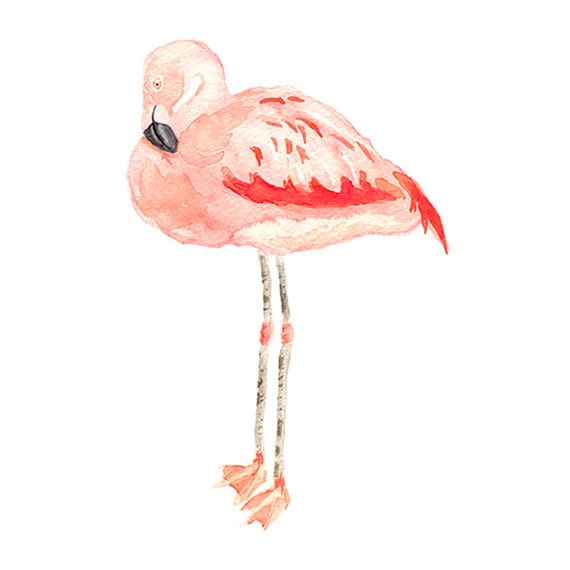 Pink Flamingo Home Decor Watercolor Print Flamingo Wall Art Print Coastal Decor Wall Art Print, Flamingo Print from Original Watercolor