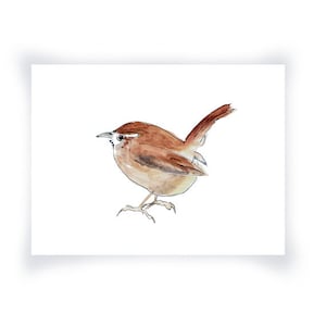Wren Pen And Ink Watercolor Print, Watercolor Bird Print, Rusty Brown Home Decor Wall Art, Bird Watercolor Print, Wall Art Home Decor