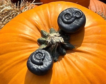 3D Printed Pumpkin Stones (set of 2)