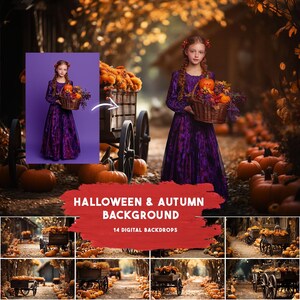 Tło Halloween i Jesień, Jesienny Wóz Dyniowy Halloween, Dynie, Jesień, Las, Las, Fantazja, Las, Wiejski, Kompozyt