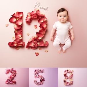 Puede incluir: Un bebé está acostado sobre un fondo rosa con un número 12 hecho de pétalos de rosa. El número 12 está escrito sobre el bebé, y las palabras "Meses" están escritas sobre el número. Hay otras tres imágenes debajo de la imagen principal, que muestran los números 2, 5 y 8 hechos de pétalos de flores.