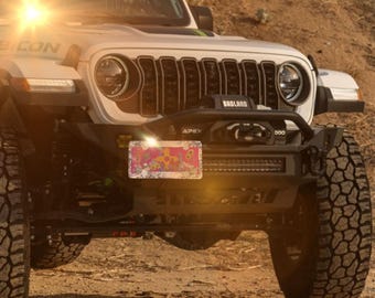 Zia Symbol Light Pink License Plate: New Mexico Wildflower Watercolor Art