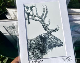 Elk and Magpie, Black and White Pen Sketch: Matted Art Prints in Multiple Sizes